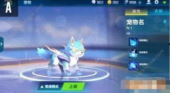 qq飞车新宠物爆料最新,神秘宠物降临!QQ飞车新宠物爆料抢先看